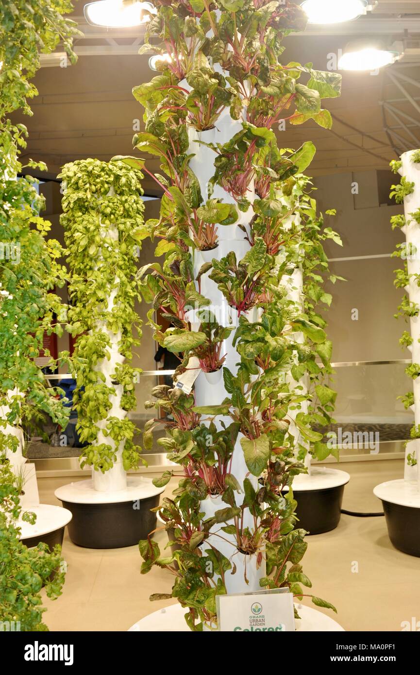 Urbano verticale di giardinaggio crescente con il crescere luci, all'interno di edificio rotonda (prima mondiale) L'Aeroporto Internazionale Chicago O'Hare di Chicago, Illinois, Stati Uniti d'America. Foto Stock