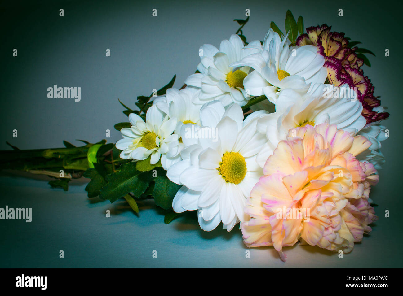 Bouquet con Daisy bianca fiori vicino su uno sfondo verde Foto Stock