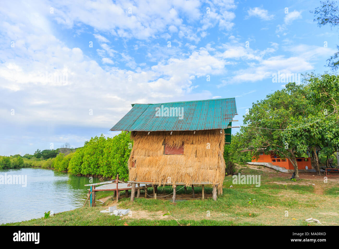 Cottage con il tetto di paglia nella foresta di mangrovie Foto Stock