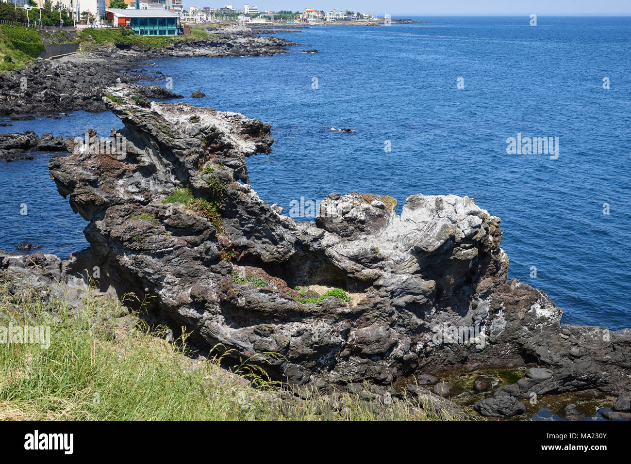 Yongduam Rock. Yongduam è una testa di drago-come rock e di una delle famose attrazioni vicino jeju city. Foto Stock
