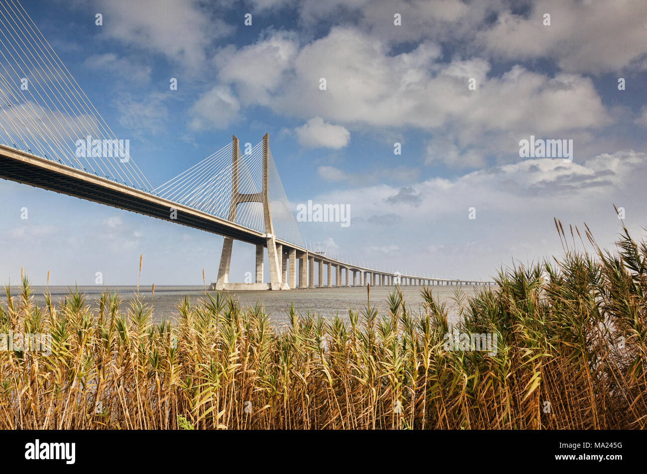 Dal ponte Vasco da Gama, 17km Ponte strallato che attraversa il fiume Tagus vicino a Lisbona, Portogallo. Foto Stock