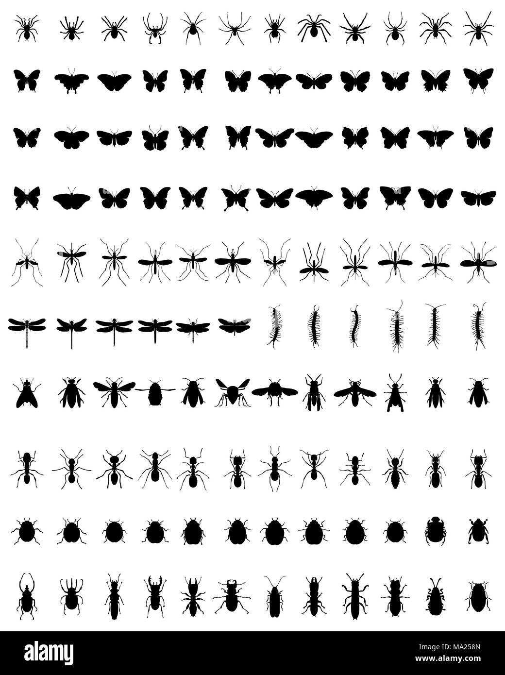 Silhouette nera di diversi insetti su sfondo bianco Foto Stock
