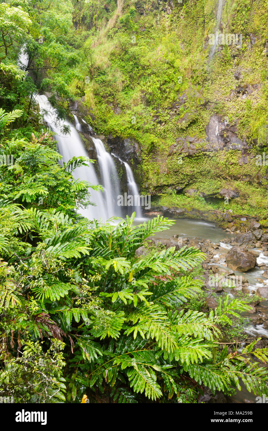 Una delle tante cascate sul ciglio della strada sulla strada di Maui, Hawaii. Foto Stock