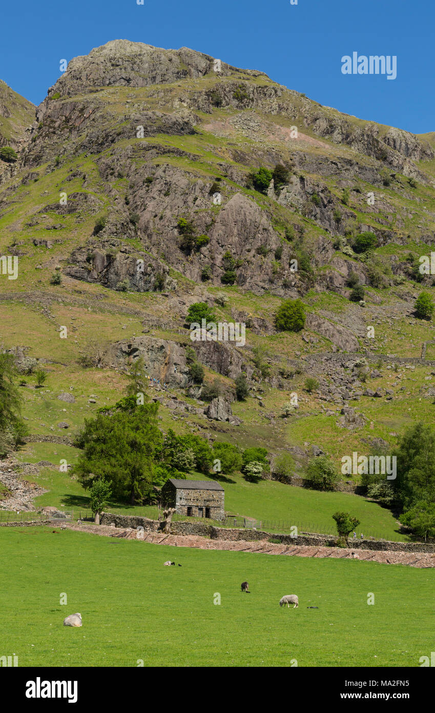 The Langdale Valley nel Lake District in Cumbria Foto Stock