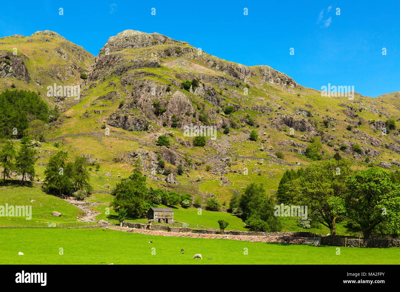 The Langdale Valley nel Lake District in Cumbria Foto Stock