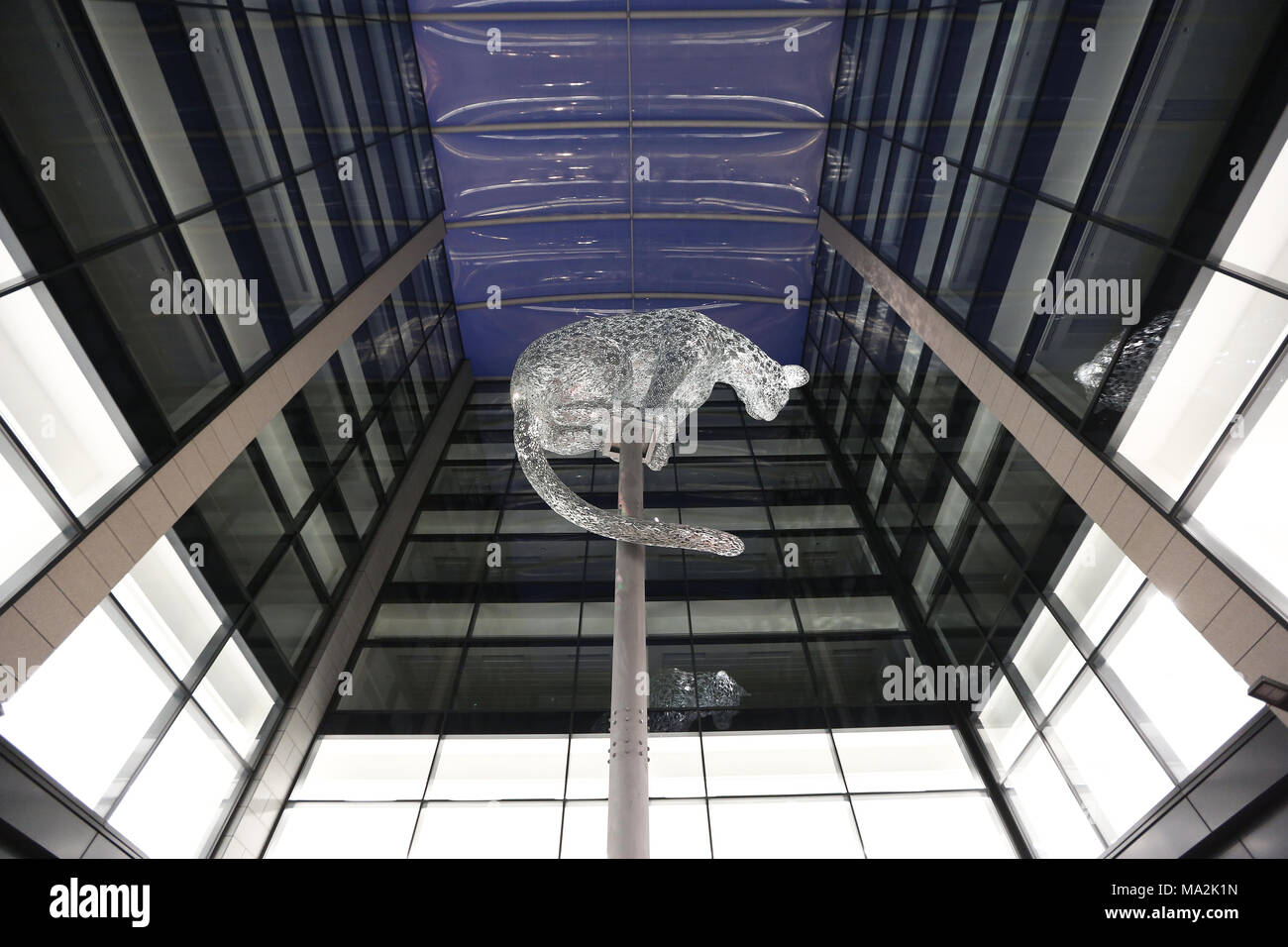 Leopard scultura di Kelpies creatore Andy Scott, che siede su una colonna in piazza Marischal in Aberdeen, Scozia, Regno Unito Foto Stock