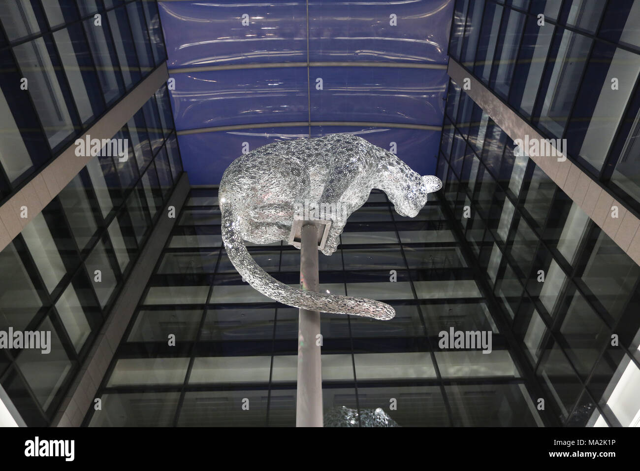 Leopard scultura di Kelpies creatore Andy Scott, che siede su una colonna in piazza Marischal in Aberdeen, Scozia, Regno Unito Foto Stock