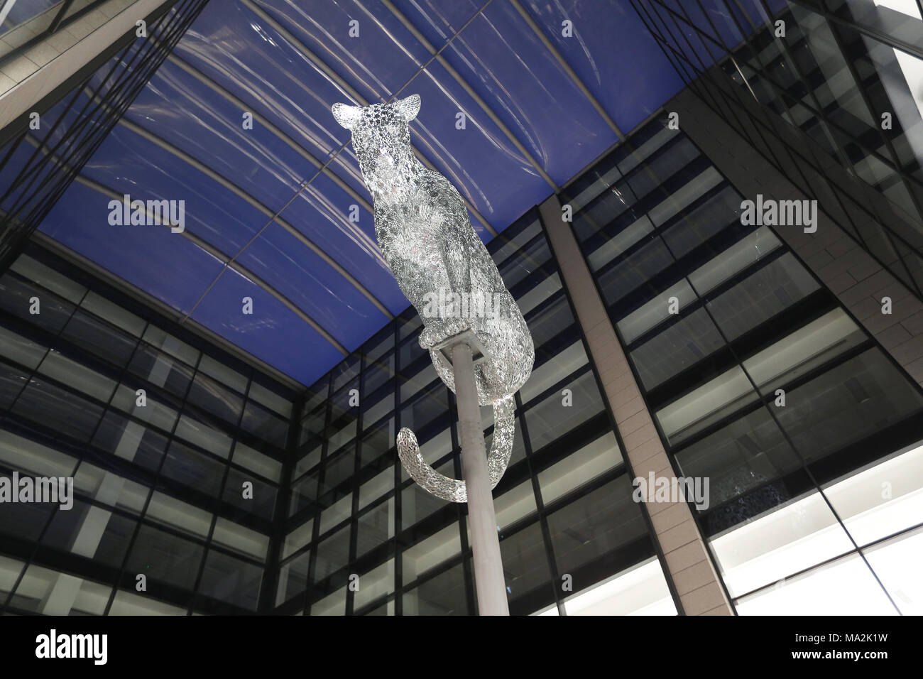 Leopard scultura di Kelpies creatore Andy Scott, che siede su una colonna in piazza Marischal in Aberdeen, Scozia, Regno Unito Foto Stock