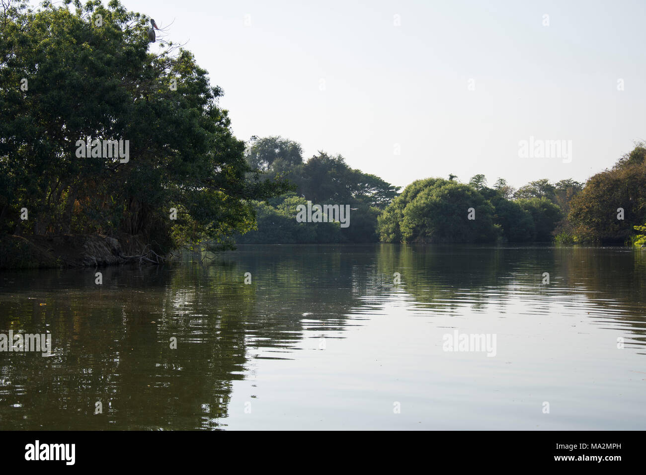 Bellissimo fiume calmo al fiume di uccelli Ranganathitu santuario a Mandya, Karnataka. Foto Stock