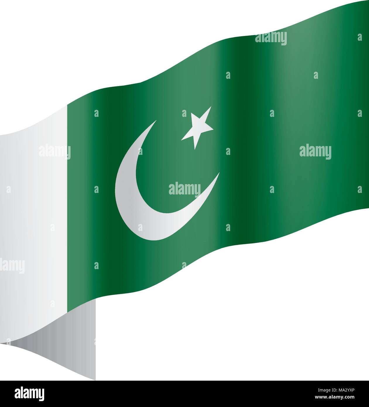 Il Pakistan bandiera, illustrazione vettoriale Illustrazione Vettoriale