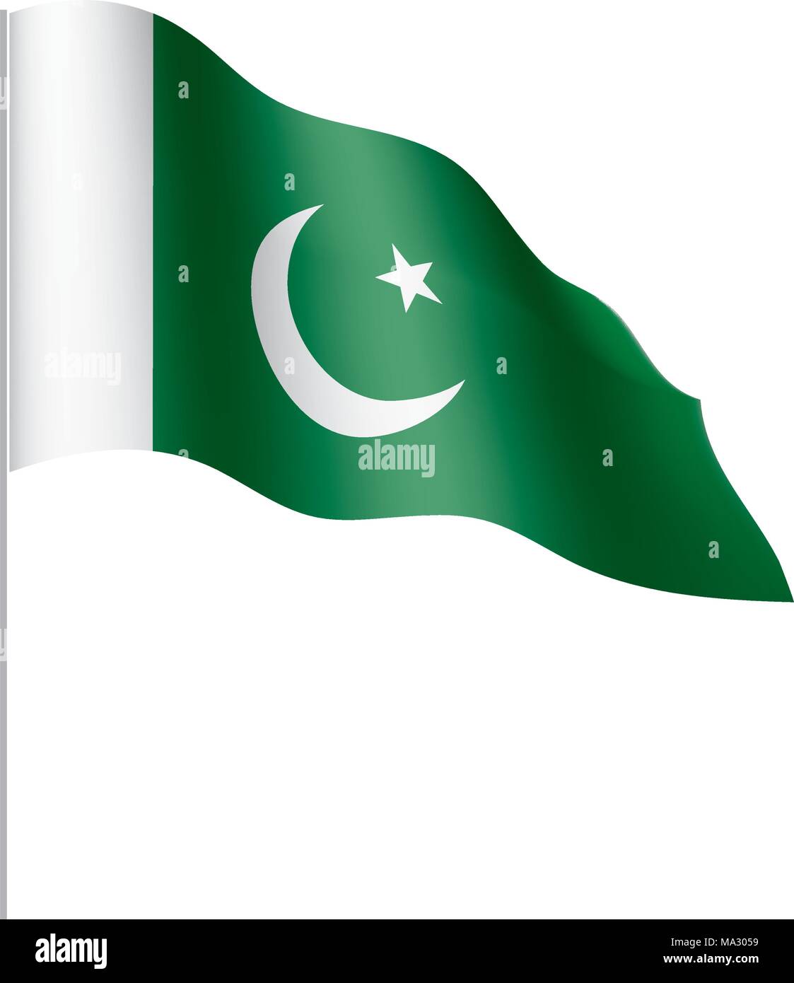 Il Pakistan bandiera, illustrazione vettoriale Illustrazione Vettoriale