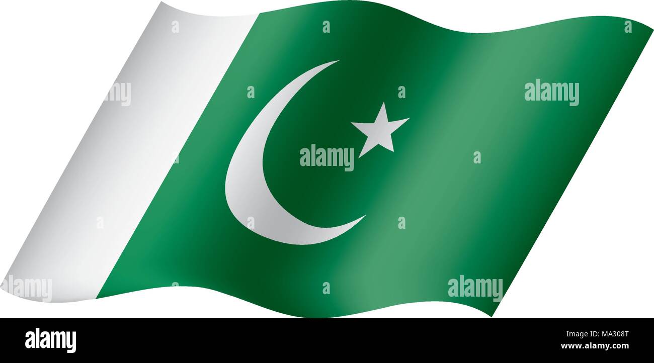 Il Pakistan bandiera, illustrazione vettoriale Illustrazione Vettoriale