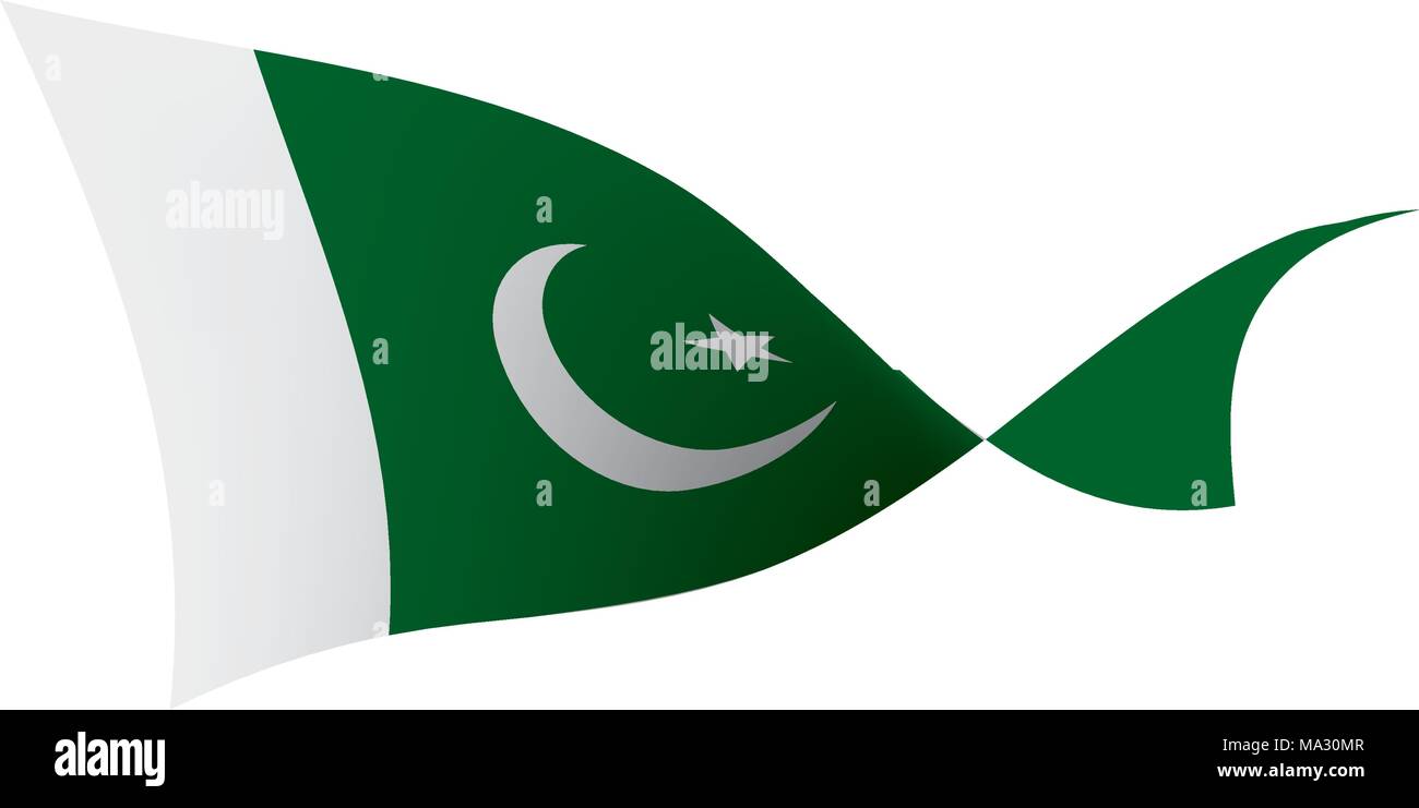 Il Pakistan bandiera, illustrazione vettoriale Illustrazione Vettoriale