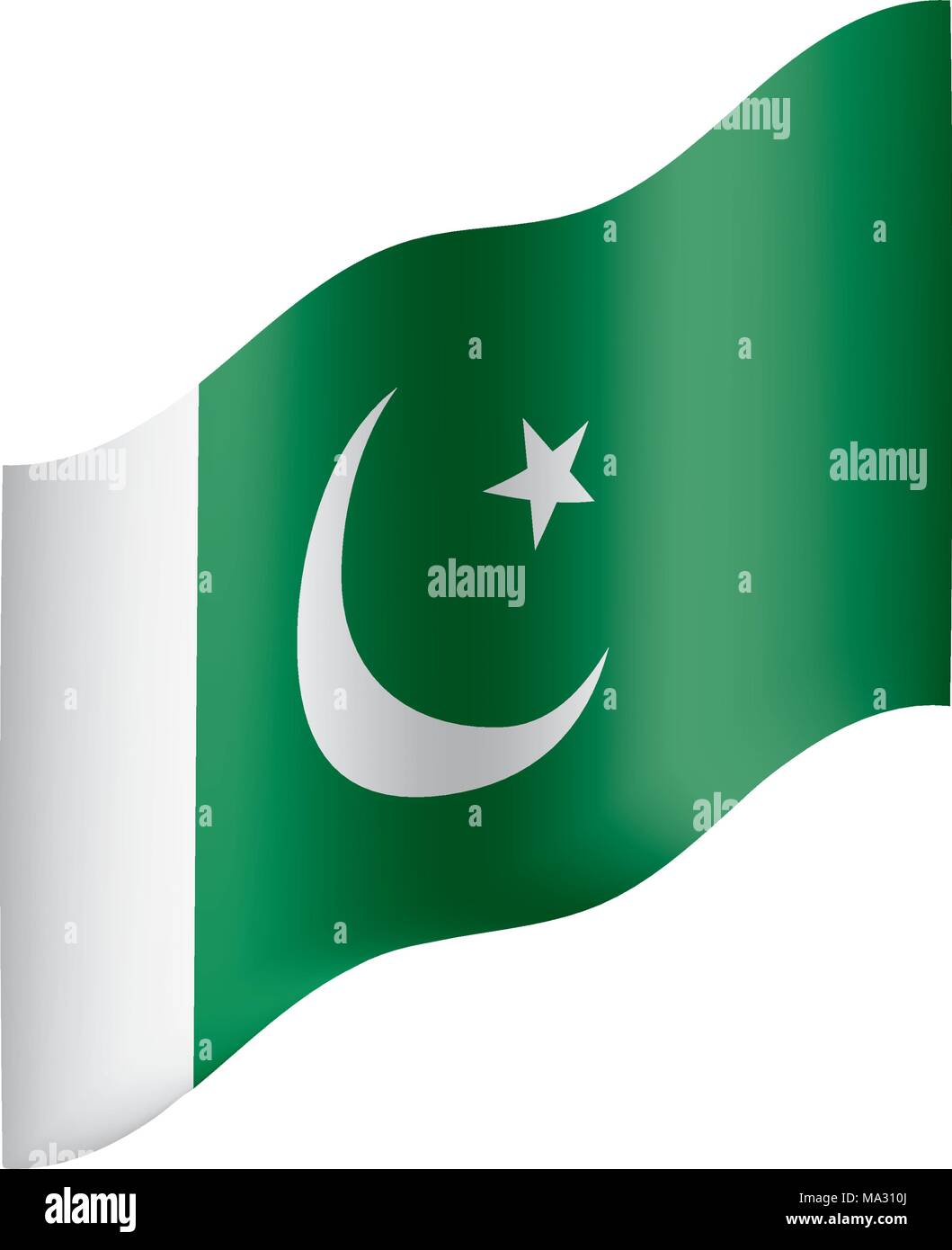 Il Pakistan bandiera, illustrazione vettoriale Illustrazione Vettoriale