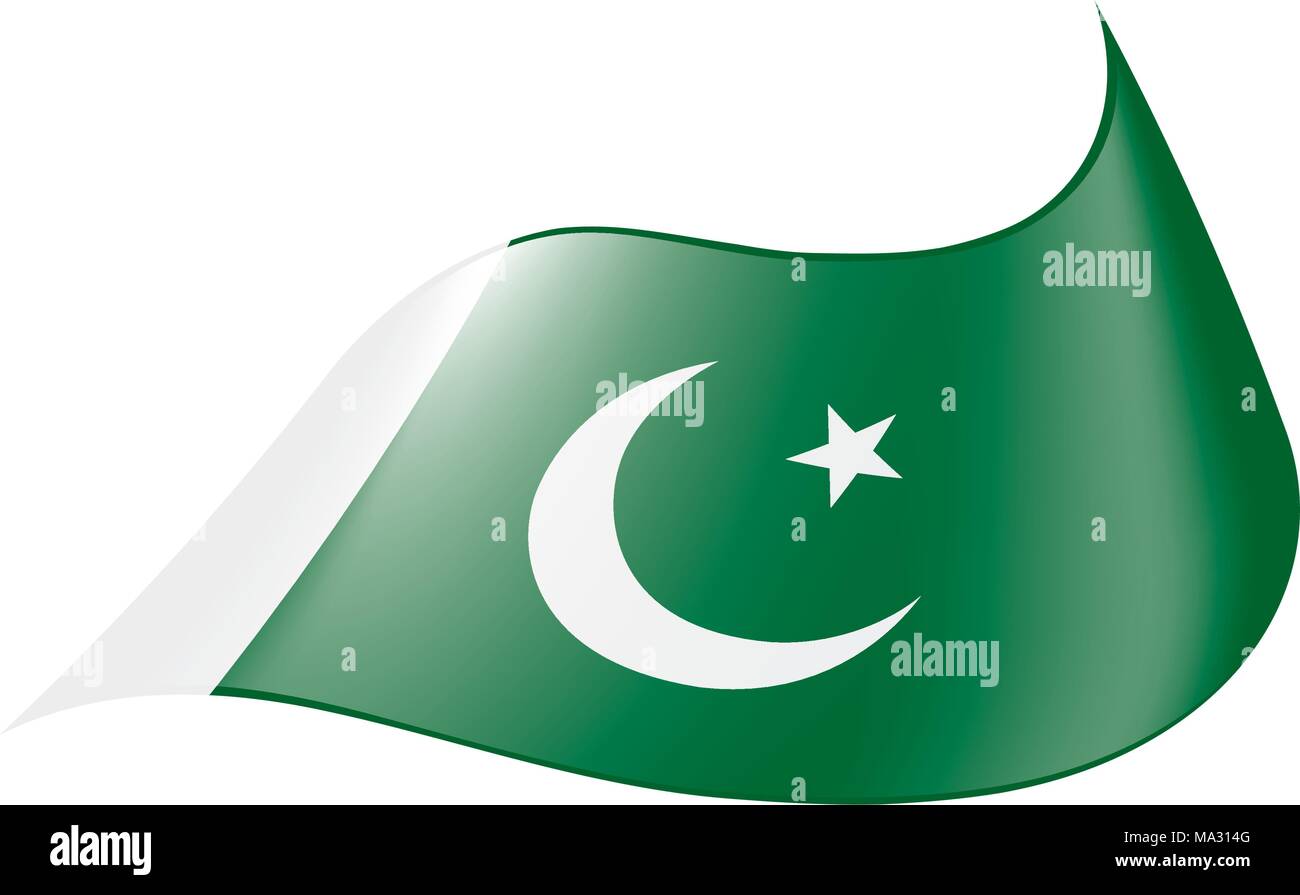 Il Pakistan bandiera, illustrazione vettoriale Illustrazione Vettoriale