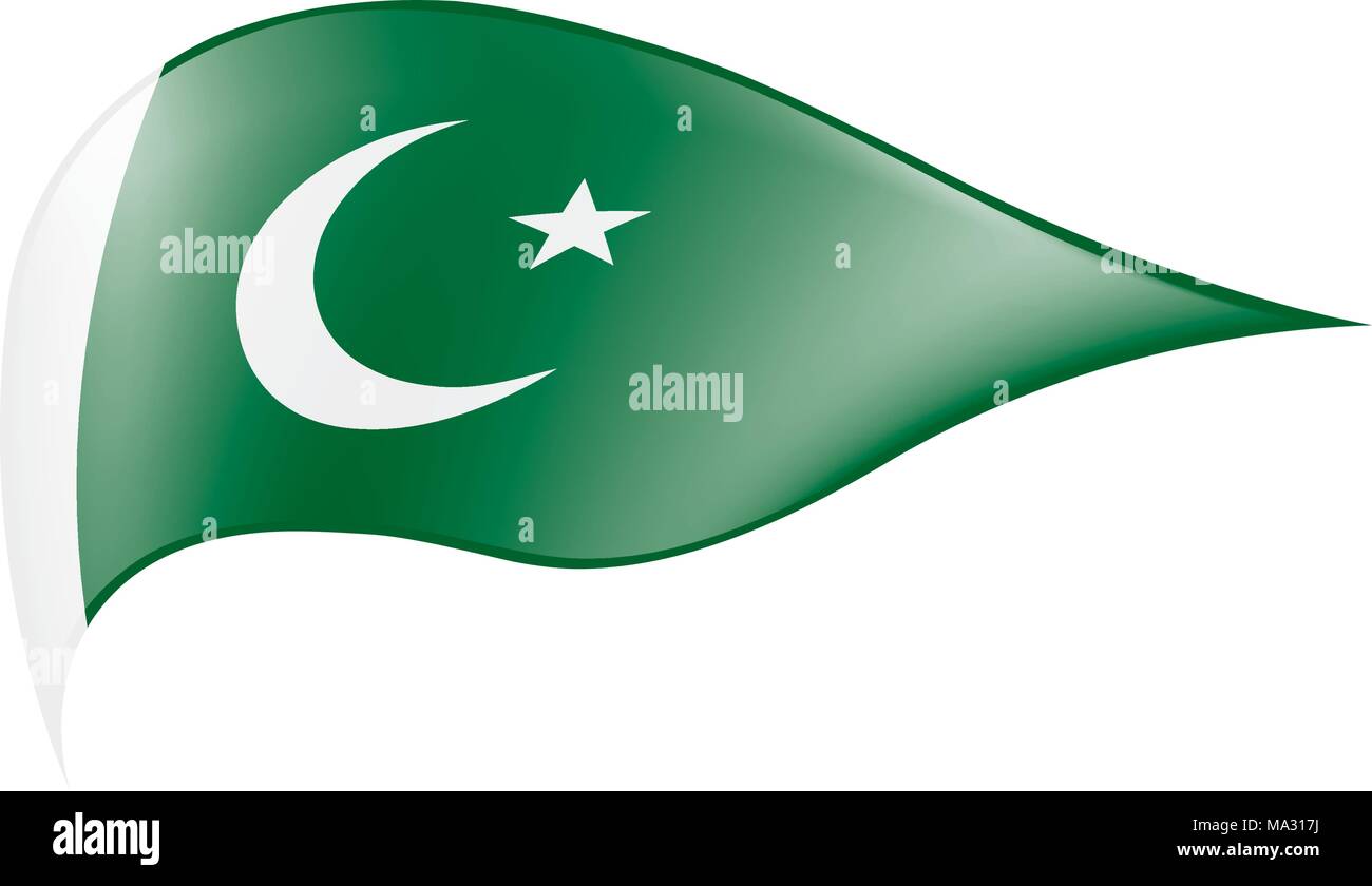 Il Pakistan bandiera, illustrazione vettoriale Illustrazione Vettoriale