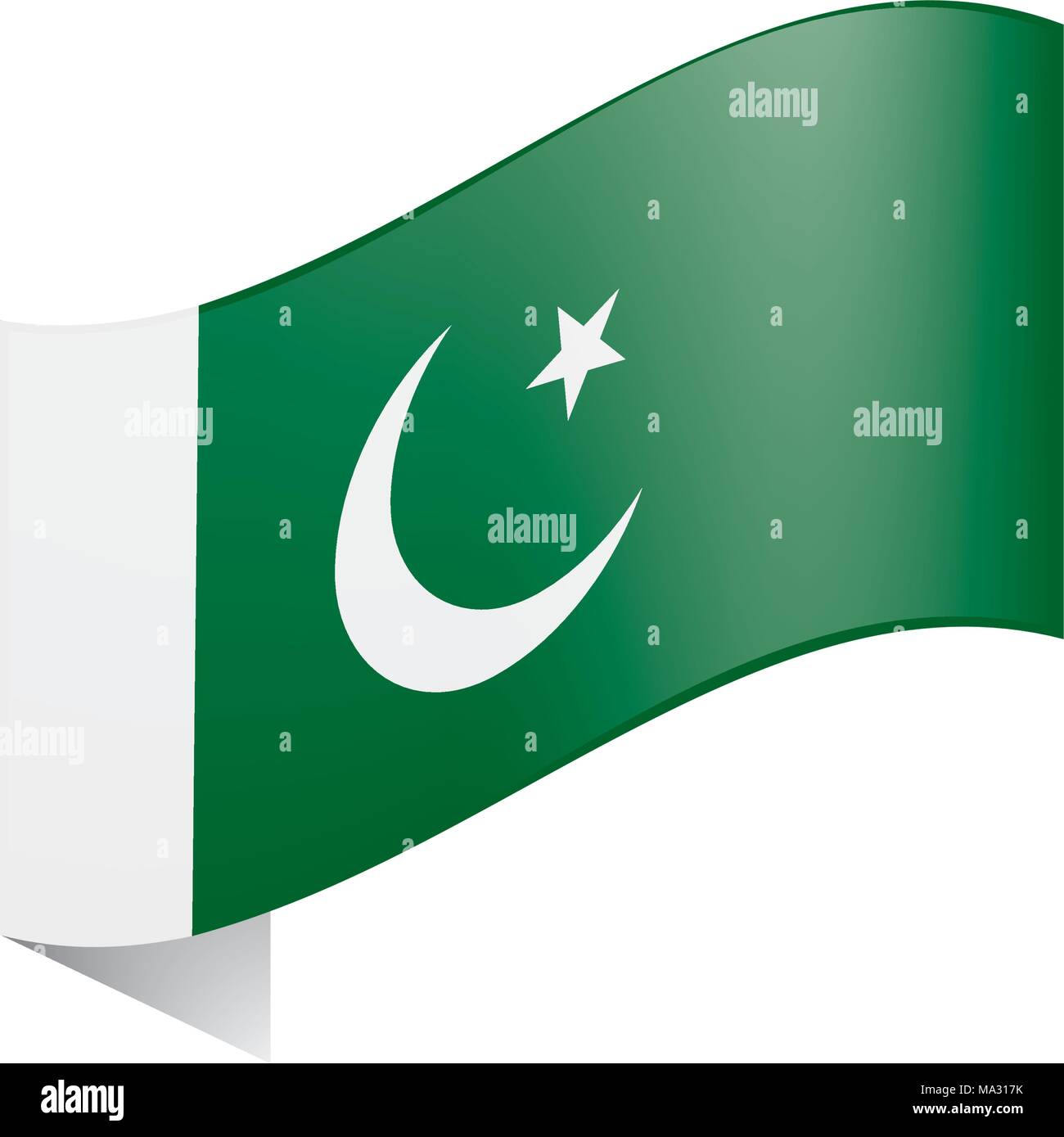 Il Pakistan bandiera, illustrazione vettoriale Illustrazione Vettoriale