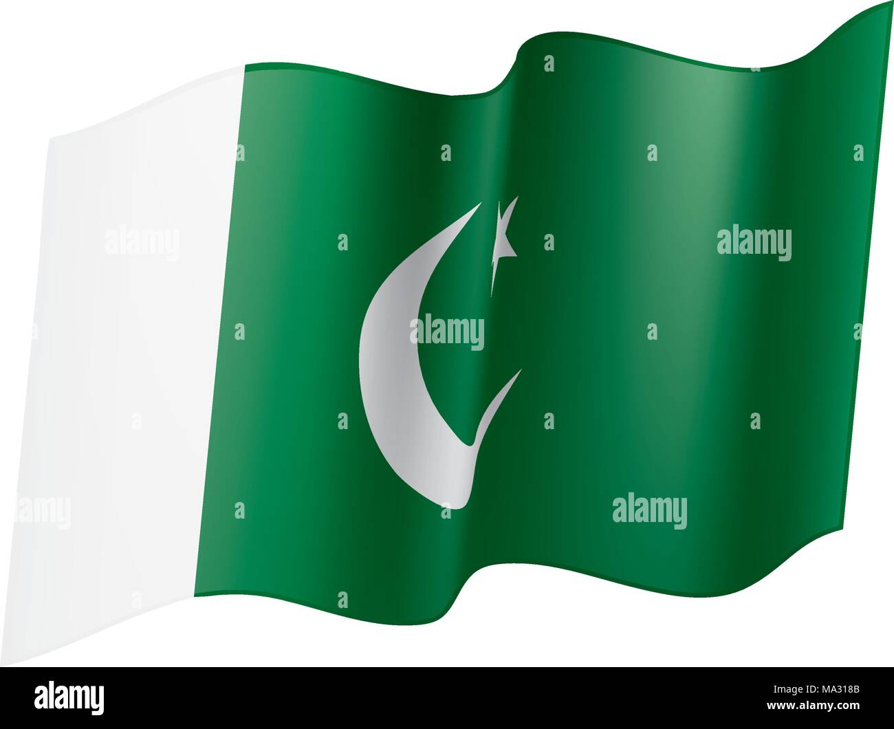 Il Pakistan bandiera, illustrazione vettoriale Illustrazione Vettoriale