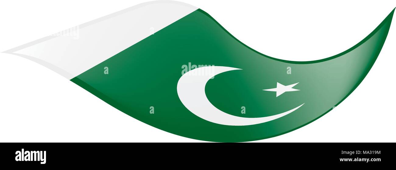 Il Pakistan bandiera, illustrazione vettoriale Illustrazione Vettoriale