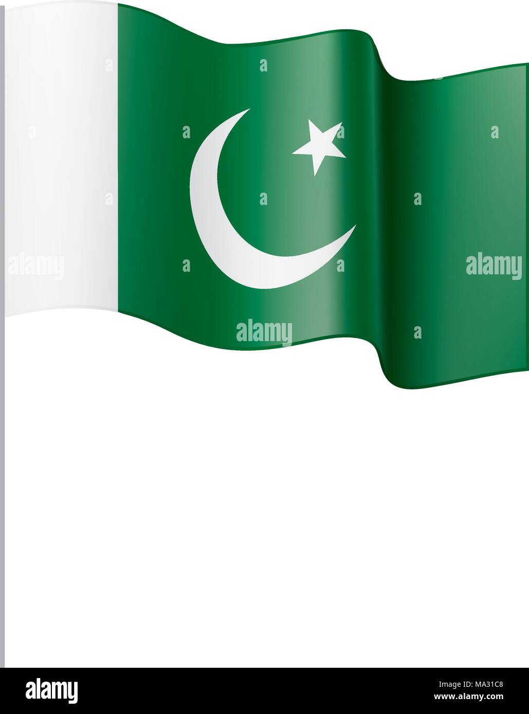 Il Pakistan bandiera, illustrazione vettoriale Illustrazione Vettoriale