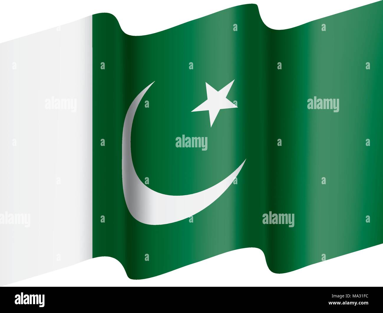 Il Pakistan bandiera, illustrazione vettoriale Illustrazione Vettoriale