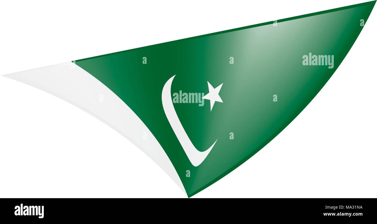 Il Pakistan bandiera, illustrazione vettoriale Illustrazione Vettoriale