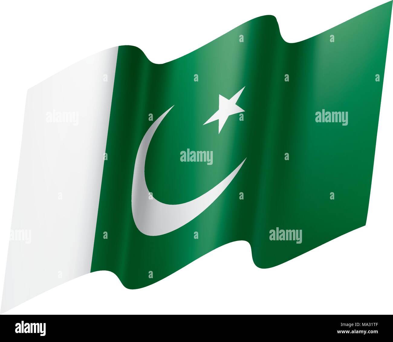 Il Pakistan bandiera, illustrazione vettoriale Illustrazione Vettoriale