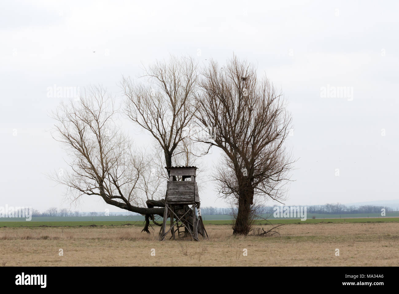 La caccia ad alta stand Foto Stock