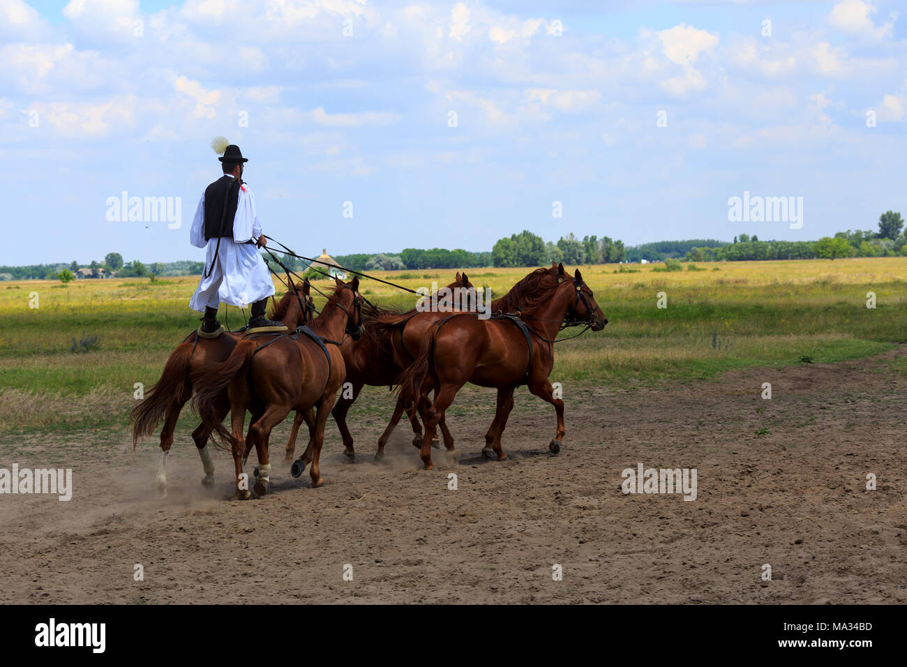 Equitazione a Bugac, Ungheria, grande pianura, Hortobágy Foto Stock