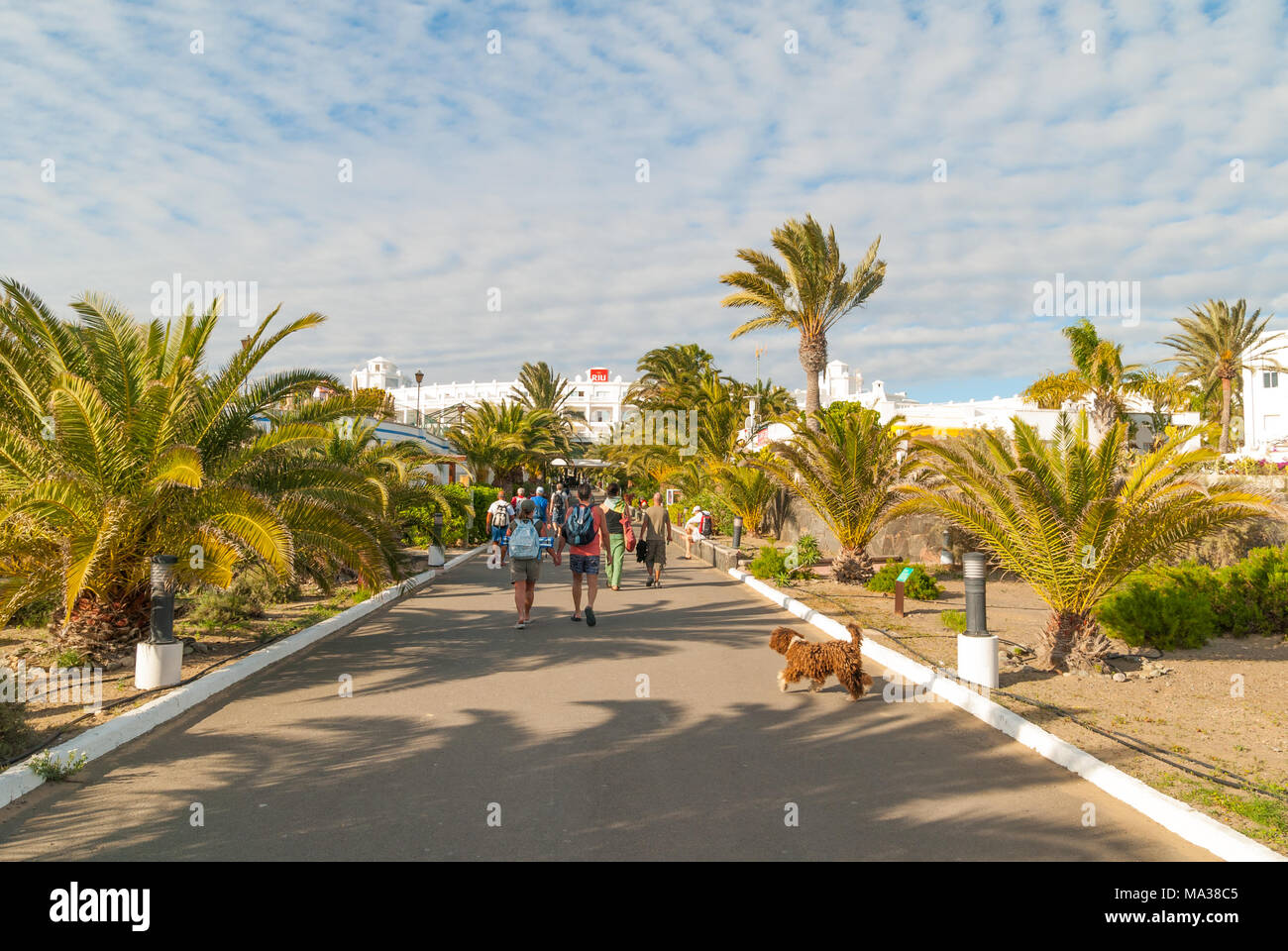 Lasciando le dune di sabbia e alle spiagge di Maspalomas e a camminare verso l'Hotel Riu Palace, Gran Canaria Isole Canarie Spagna Foto Stock