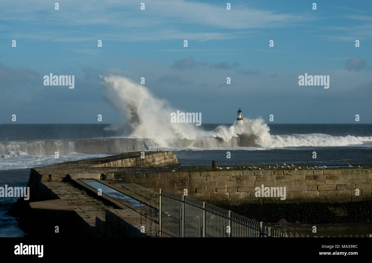 Onde che si schiantano e si innalzano sul molo e faro di Seaham sulla costa nord-orientale dell'Inghilterra Foto Stock