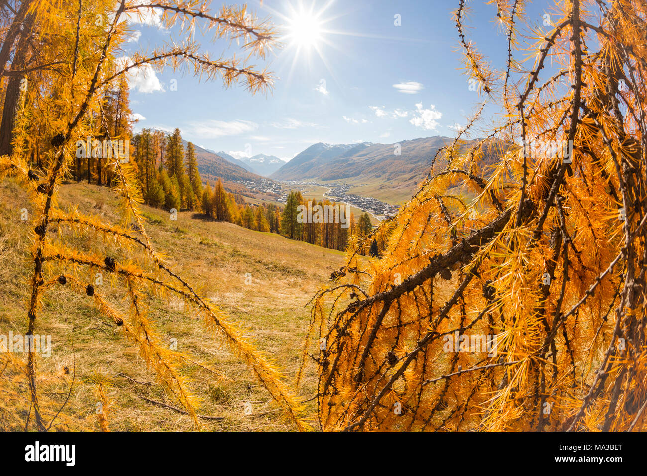 Livigno e i colori dell'autunno in una giornata di sole. La Valtellina, Lombardia, Italia, Europa Foto Stock