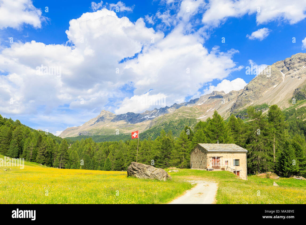 Capanna con bandiera della Svizzera in Val di Campo, Val Poschiavo, Graübunden, Svizzera. Foto Stock