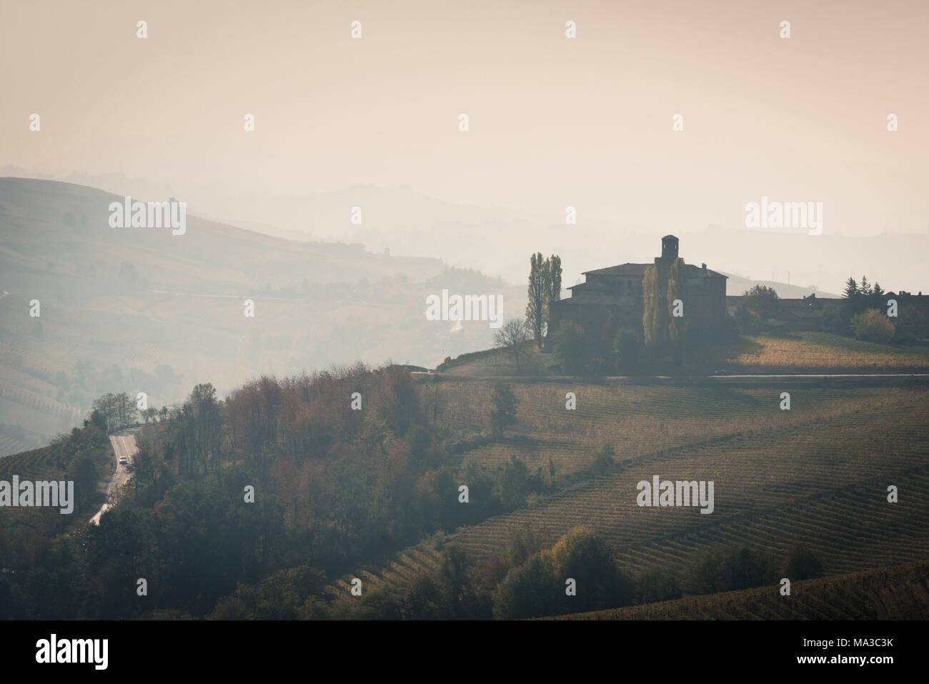 L'Italia, Piemonte, Cuneese, Barolo, Langhe Barolo di sunrise Foto Stock