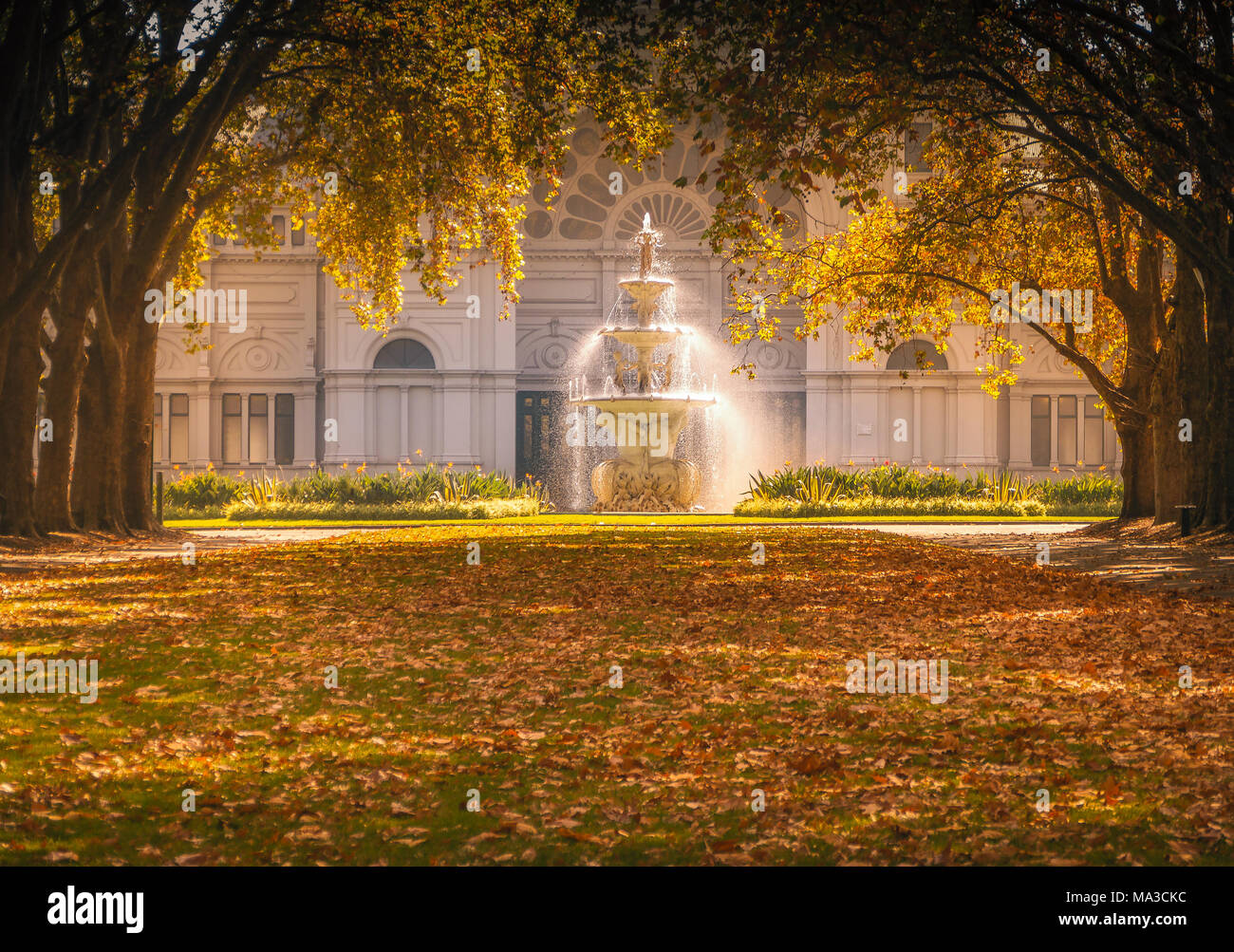 Giardini Carlton fontana e alberi d'autunno cattura la luce del sole di fronte al Royal Exhibition Building Melbourne, Victoria, Australia. Foto Stock