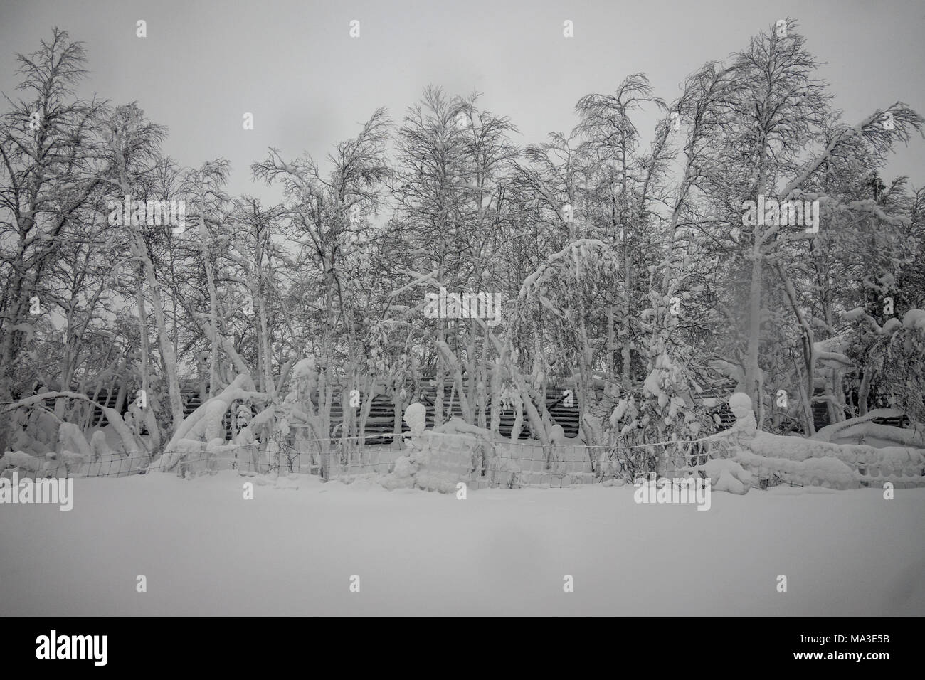 Viaggio in treno da Kiruna per Boden, Svezia Foto Stock