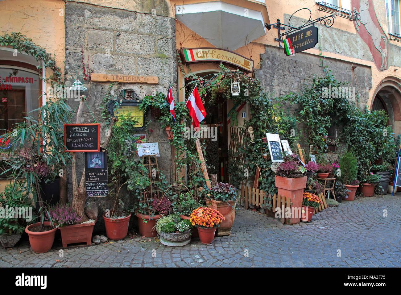 Foglie di piante di fronte a un bar nel centro storico della città di Innsbruck Foto Stock