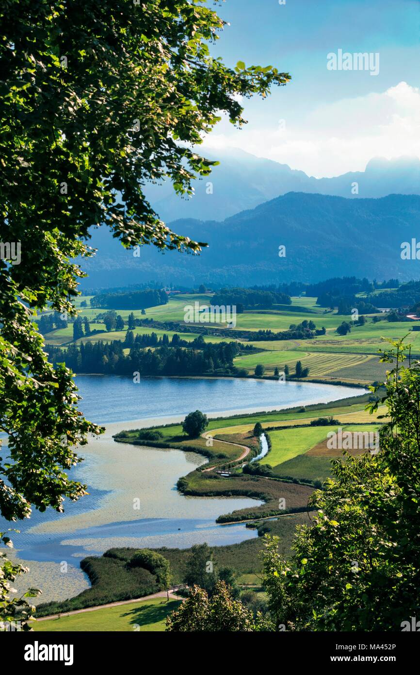 Il paesaggio nei pressi di Hopfen am See nella regione di Allgäu di Germania Foto Stock