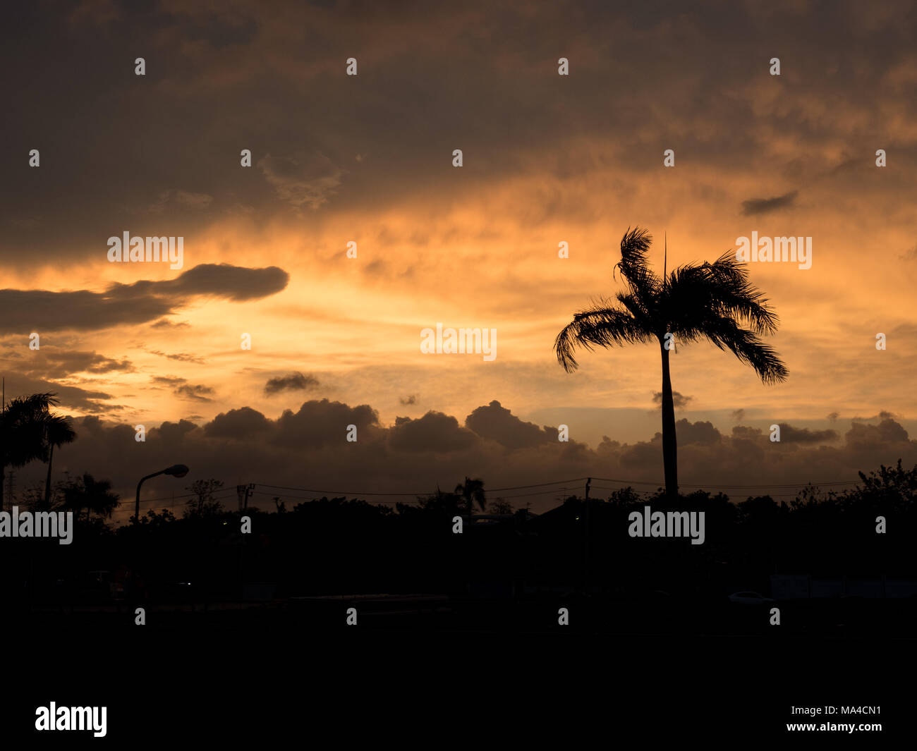 Un albero di palma stagliano colorato arancione nuvole al tramonto in Thailandia Foto Stock