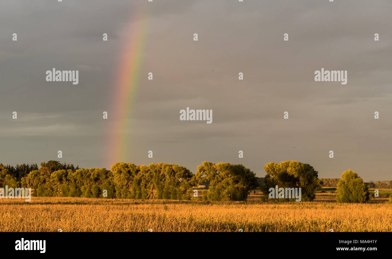 Grigio cielo nuvoloso con un arcobaleno su un feild del labirinto. Foto Stock