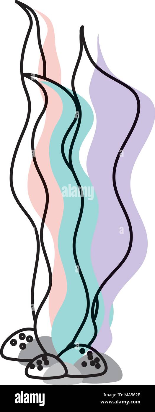 Spostato colore naturale alga tropicale di piante marine Illustrazione Vettoriale