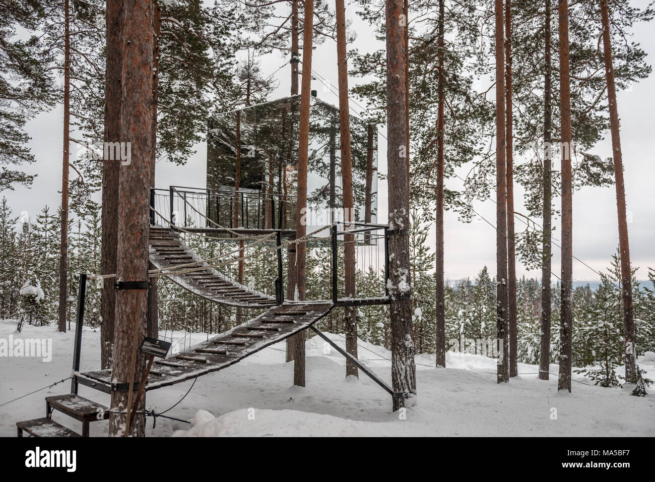 Tree Hotel di Harads, Svezia Foto Stock