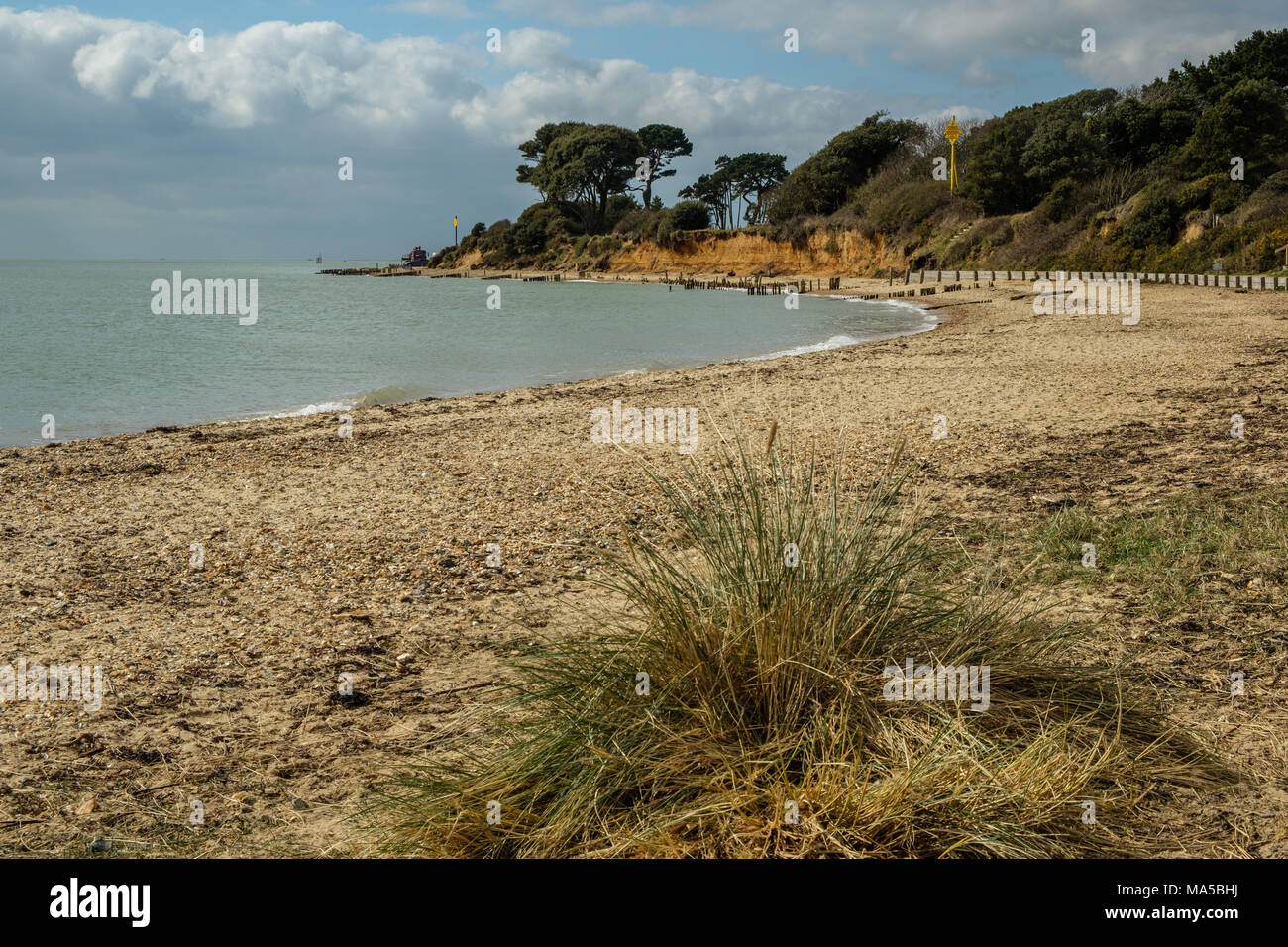 Spiaggia di Lepe parte del nuovo Parco Nazionale della Foresta Foto Stock