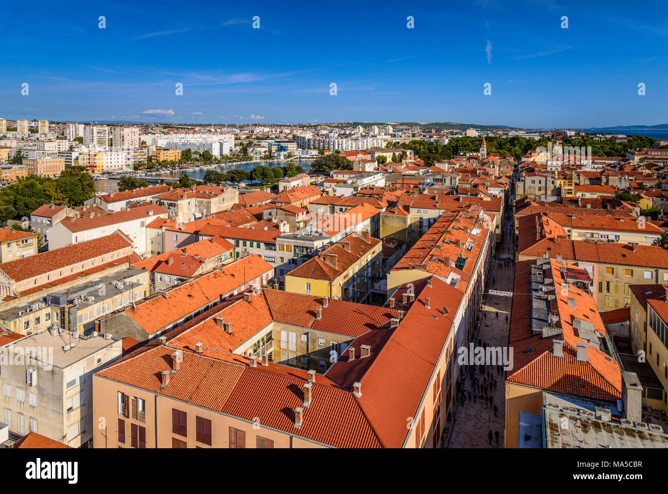 Croazia, Dalmazia, Zara, vista sud sopra la città vecchia con il suo lungomare Siroka ulica, Kalelarga dal campanile della cattedrale Sveta Stosija Foto Stock