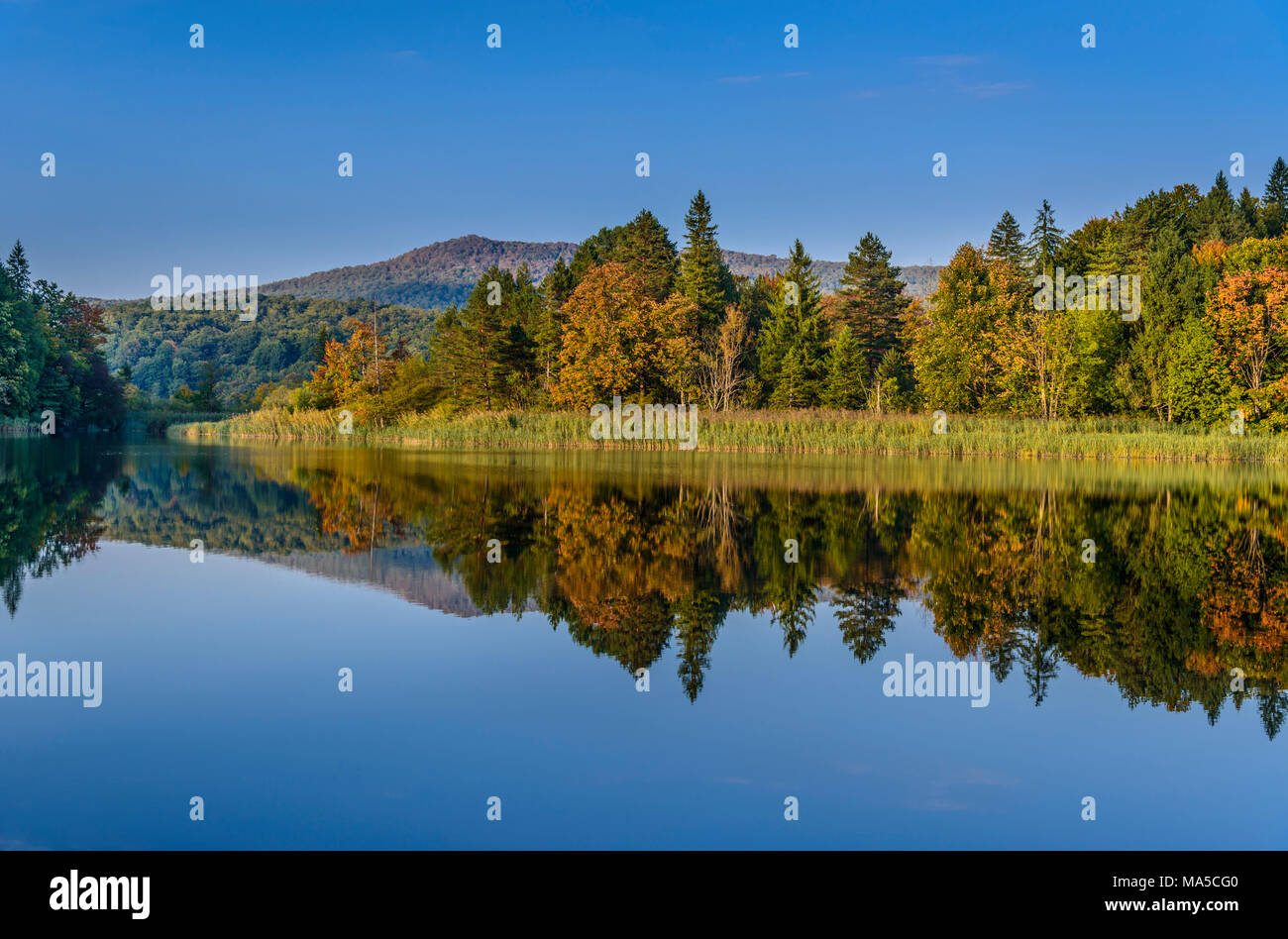 Croazia, Croazia centrale, Plitvicka Jezera, il Parco Nazionale dei Laghi di Plitvice, laghi superiori Foto Stock