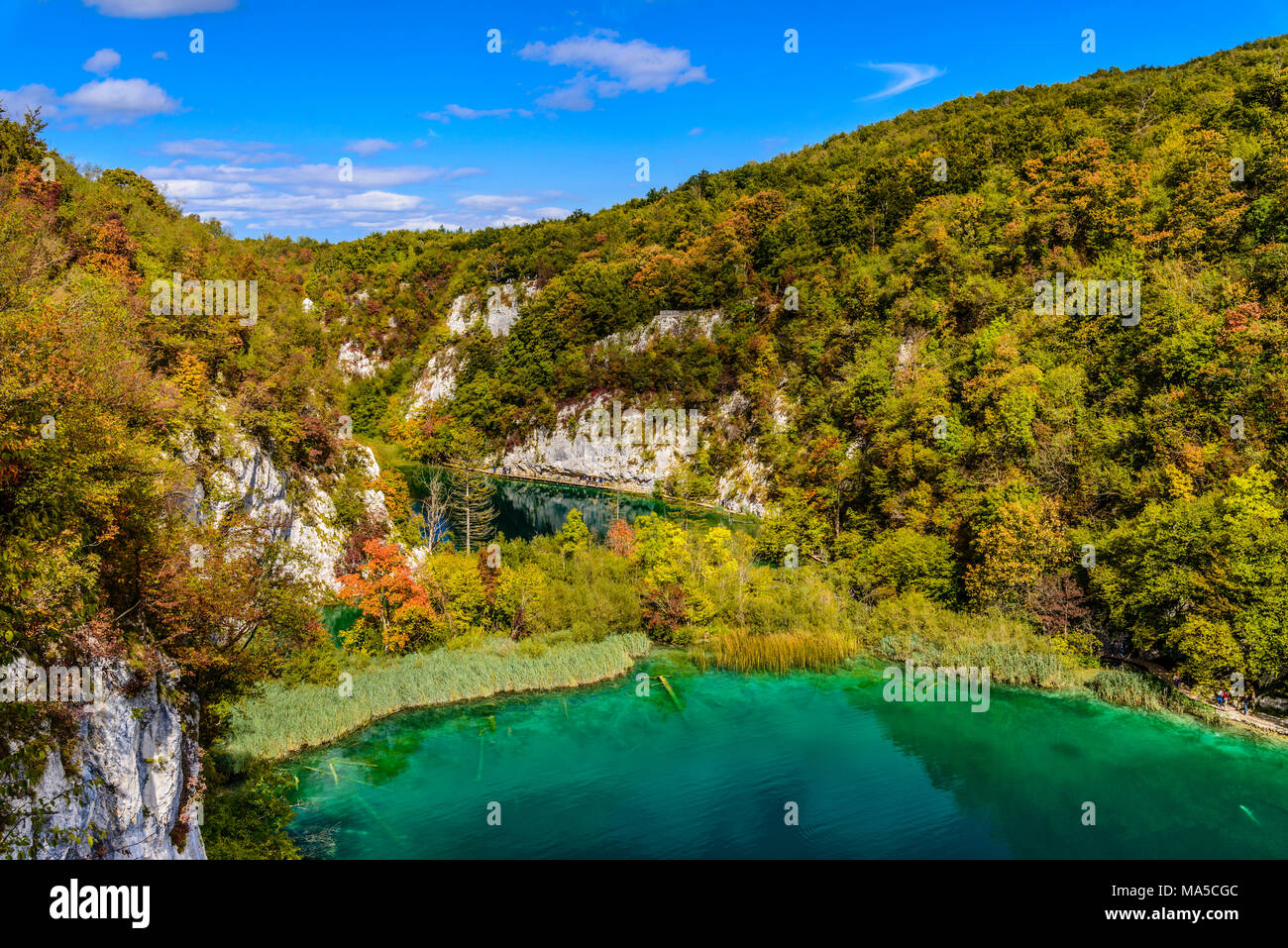 Croazia, Croazia centrale, Plitvicka Jezera, il Parco Nazionale dei Laghi di Plitvice, laghi inferiori Foto Stock