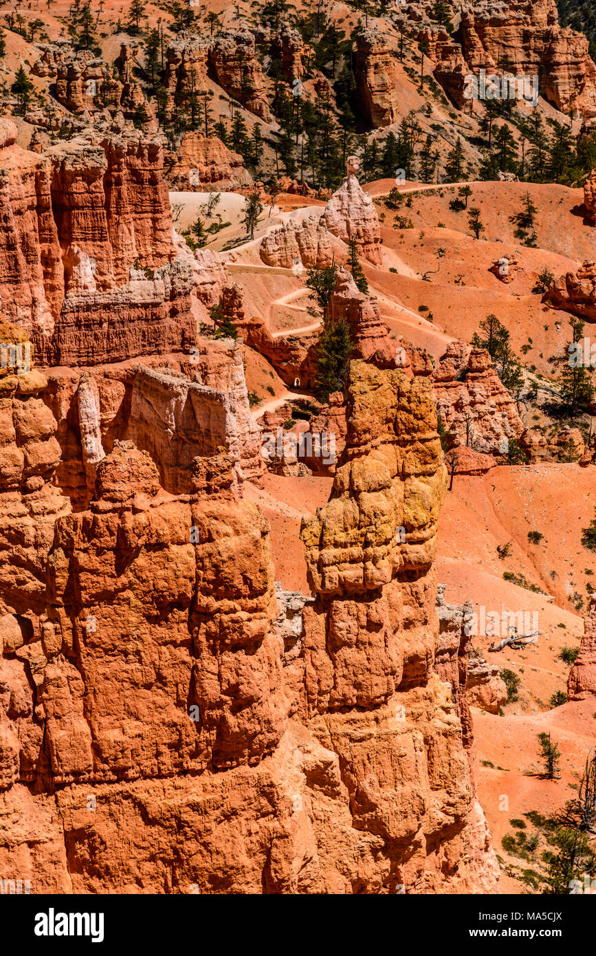 Stati Uniti d'America, Utah, Garfield County, Parco Nazionale di Bryce Canyon, Punto di Sunrise, anfiteatro con Queens Garden Foto Stock