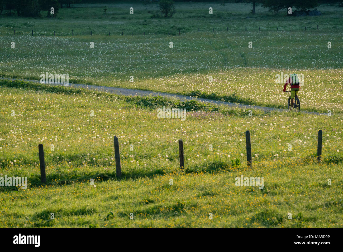 Mountain bike in scena la Längental, vicino Leggries (comune), Alpi Bavaresi, Baviera, Germania Foto Stock