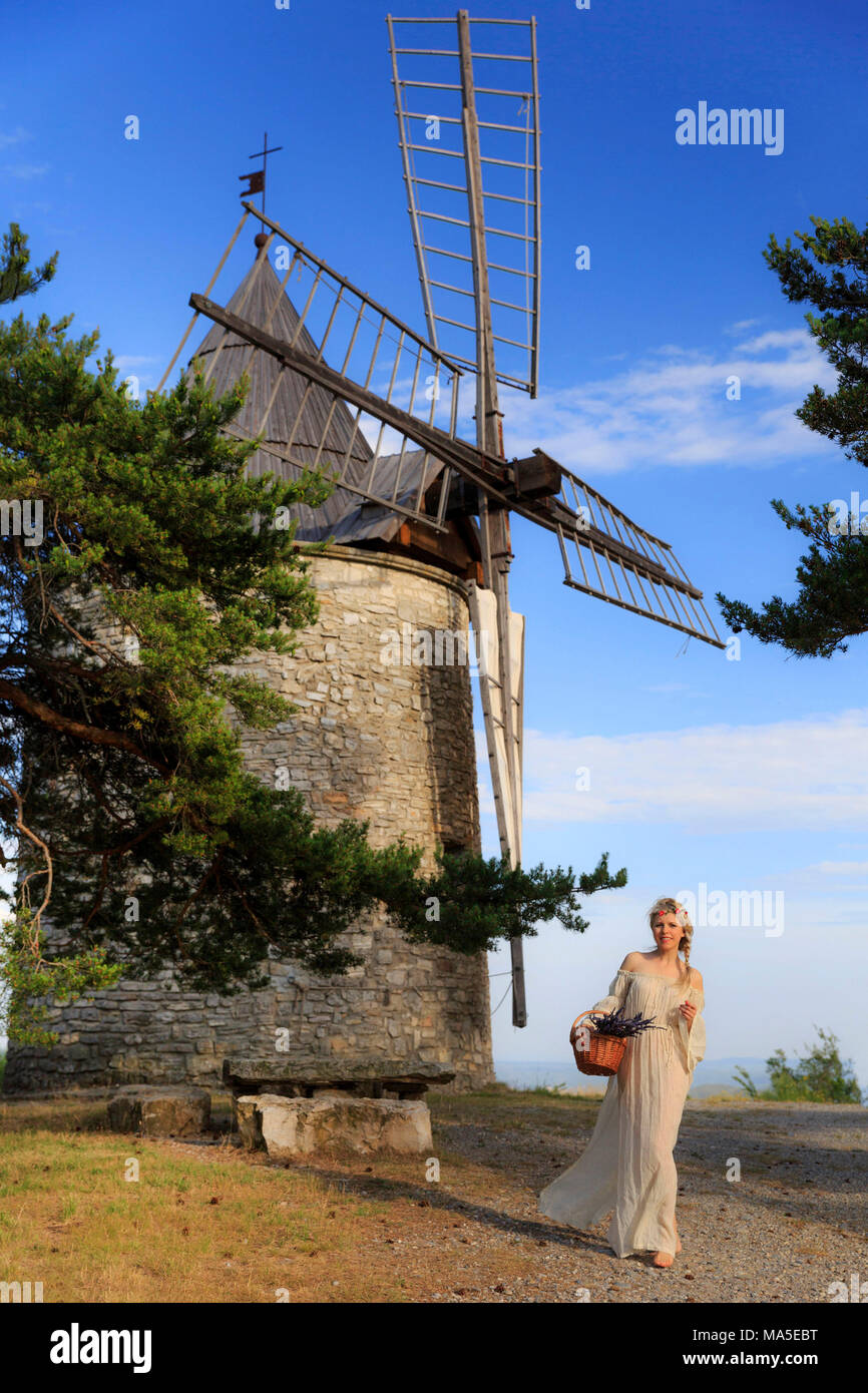 La bionda ragazza in un abito bianco che porta un cesto di lavanda sotto un mulino a vento, valensole, Provenza, Francia Foto Stock