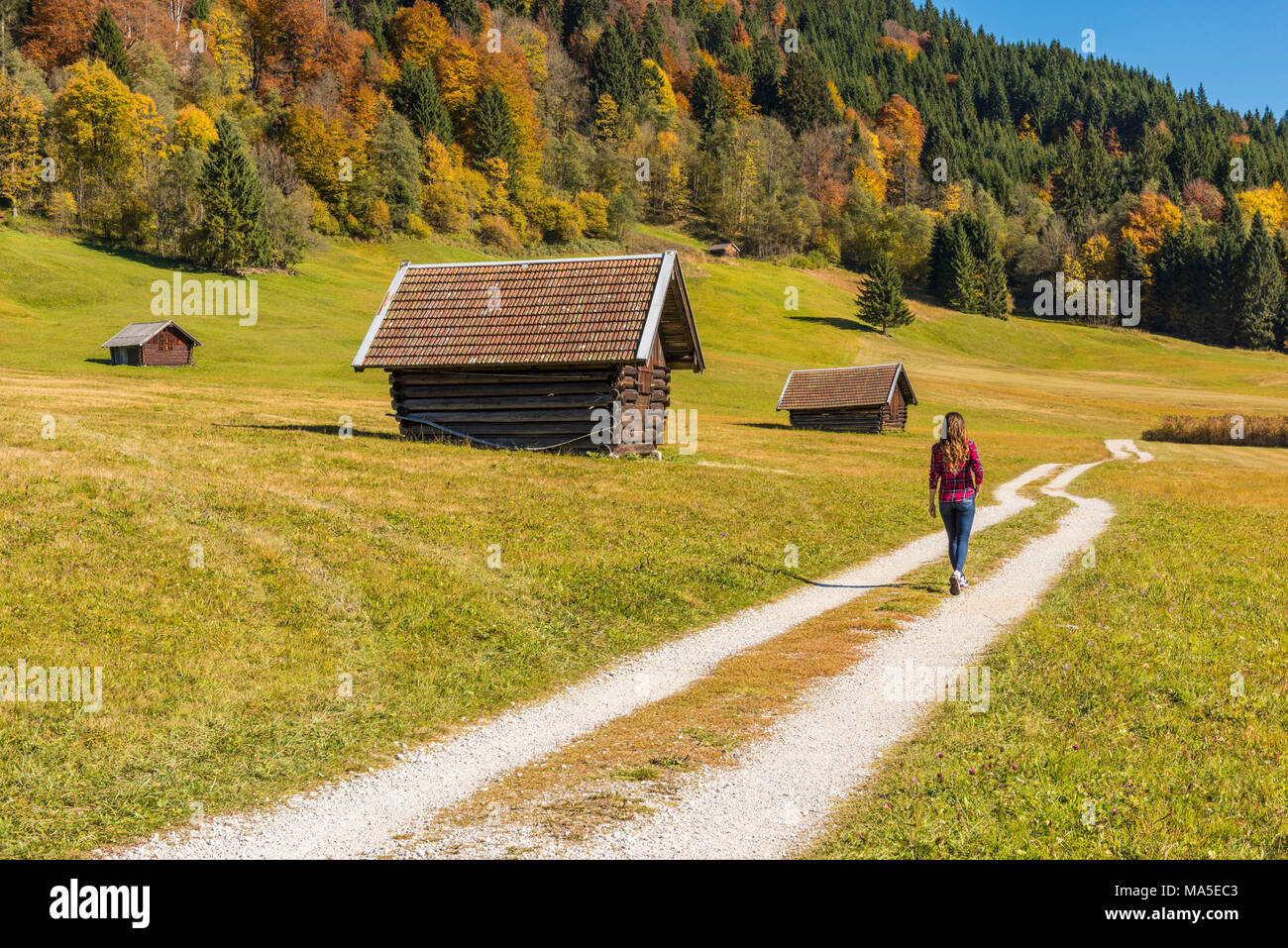 Gerold, Garmisch Partenkirchen, Baviera, Germania, Europa. Giovane donna a piedi su un sentiero in Gerold Foto Stock